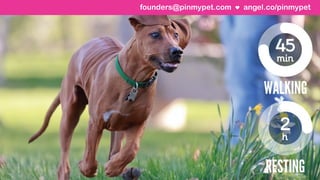 angel.co/pinmypetfounders@pinmypet.com
 