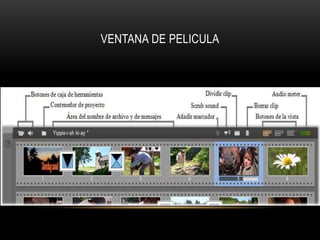 VENTANA DE PELICULA 
 