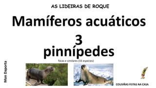 pinnípedes
Mamíferos acuáticos
3
focas e similares (33 especies)
AS LIDEIRAS DE ROQUE
COUSIÑAS FEITAS NA CASA
MonDaporta
 