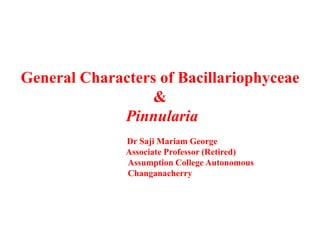 General Characters of Bacillariophyceae
&
Pinnularia
Dr Saji Mariam George
Associate Professor (Retired)
Assumption College Autonomous
Changanacherry
 