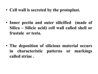 • Cell wall is secreted by the protoplast.
• Inner pectin and outer silicified (made of
Silica – Silicic acid) cell wall c...