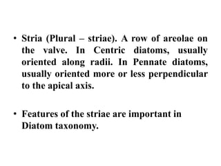 • Stria (Plural – striae). A row of areolae on
the valve. In Centric diatoms, usually
oriented along radii. In Pennate dia...