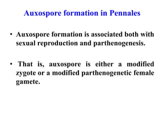 1. Auxospore formation by Syngamy
Types :
i ) Development of a single Auxospore by two
conjugating cells.
• Two conjugatin...