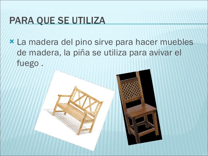 Gayuba Propiedades Y Beneficios Ms Importantes Gayuba Propiedades Y Beneficios Ms Importantes