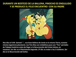 DURANTE UN BOSTEZO DE LA BALLENA, PINOCHO ES ENGULLIDO
Y SE PRODUCE EL FELIZ ENCUENTRO CON SU PADRE
Nos dice el V.M. Samael: “… esa Gran Ballena de Jonás es la misma Tierra, nuestro
mismo organismo planetario. Los Tres Días son simbólicos pues son "Tres" períodos
de Trabajo Esotérico antes de llegar a la Resurrección del Cristo Intimo, en
nosotros: 1er día: es el Nacimiento Segundo. 2º día: es matar a los 3 traidores. 3er
día es la Resurrección del Señor.
 