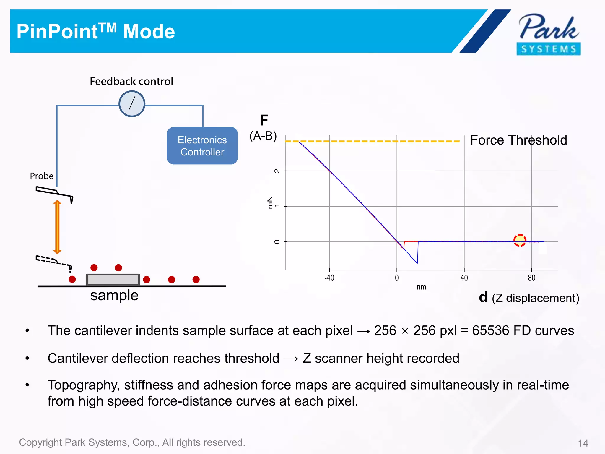 PinPointTM Mode
Probe
sample
Electronics
Controller
Feedback control
14Copyright Park Systems, Corp., All rights reserved.
(A-B)
d (Z displacement)
F
• The cantilever indents sample surface at each pixel → 256 × 256 pxl = 65536 FD curves
• Cantilever deflection reaches threshold → Z scanner height recorded
• Topography, stiffness and adhesion force maps are acquired simultaneously in real-time
from high speed force-distance curves at each pixel.
Force Threshold
 