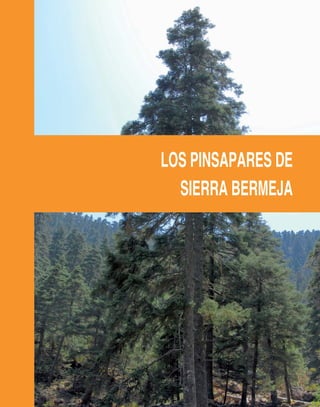 LOS PINSAPARES DE
SIERRA BERMEJA
 