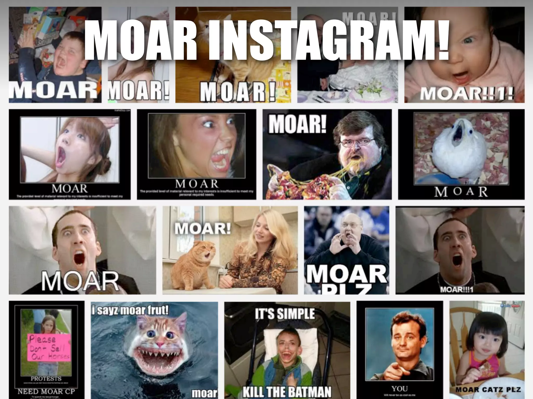 MOAR INSTAGRAM!
 