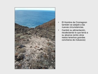 El Hombre de Cromagnon también se adaptó a las nuevas circunstancias.  Cambió su alimentación , recolectando lo que tenía a su alcance  (entre otros restos tenemos grandes concheros  de moluscos ) 