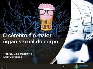 O cérebro é o maior
órgão sexual do corpo
Prof. Dr. Caio Maximino
IESB/Unifesspa
 