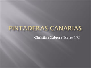 Christian Cabrera Torres 1ºC  
