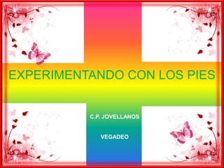 EXPERIMENTANDO CON LOS PIES C.P. JOVELLANOS  VEGADEO 