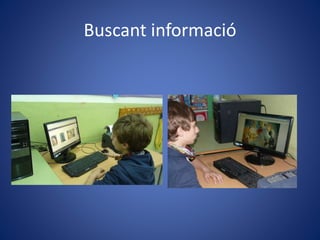 Buscant informació
 