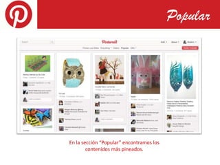 Popular




En la sección “Popular” encontramos los
        contenidos más pineados.
 