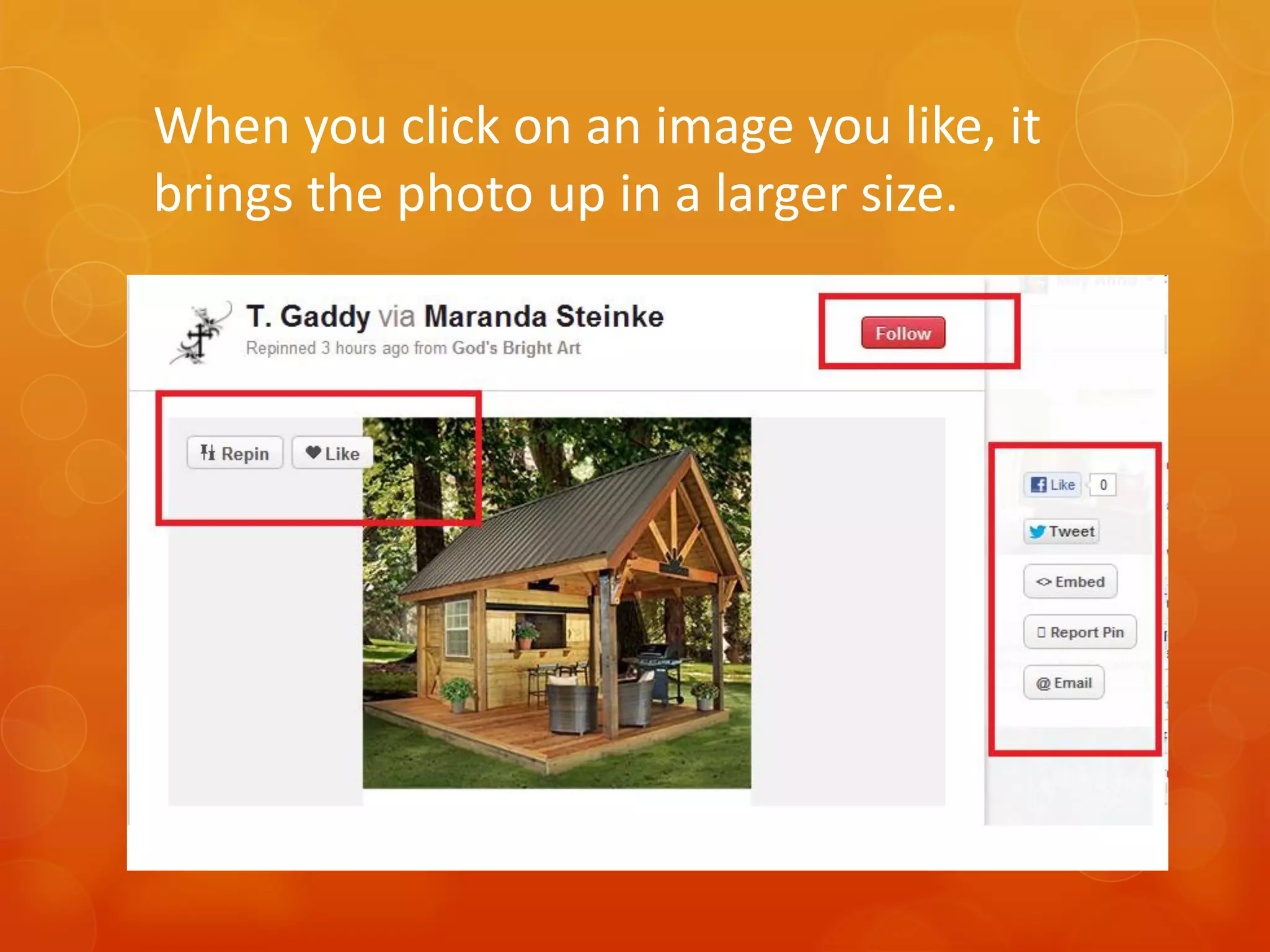 When you click on an image you like, it
brings the photo up in a larger size.
 