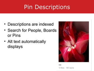 Pin Descriptions
• Descriptions are indexed
• Search for People, Boards
or Pins
• Alt text automatically
displays
 