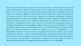 Todo esto está conectado y la causa inicial somos nosotros; cuando tiramos basura a la
calle eventualmente la lluvia la arrastra hasta los ríos, luego toda esa agua contaminada
llega al mar, en el mar hay una extensa fauna, pero cuando el mar se empieza a llenar de
basura y a contaminar, llegamos a hacer que muchas habitad ya no sean aptas para que
esta fauna viva ahí, u otro caso es que, debido a las inmensas cantidades de plástico,
demasiados peces, tortugas, etc. Se llegan a lastimar, enredar o dejarlos incapacitados para
nadar con toda la basura; así que, debido a todas estas circunstancias las especies se van
muriendo y extinguiendo poco a poco, pero en el momento en que alguna especie se
extingue, esa especie era parte de alguna cadena, entonces cuando se extinguen, se rompe
esa cadena, porque el que se alimentaba de ahí, ya no tendría alimento, y si intenta buscar
algún otro tipo de alimento es donde se empieza a crear un desequilibrio, y ese
desequilibrio repercute en gran manera, un ejemplo serían los osos polares, que se están
quedando sin alimento, y vistos en la necesidad buscan entre toda la basura que nosotros
producimos o incluso en algunos casos se han comido entre ellos por la falta de alimento,
los osos polares se empezaron a considerar en peligro de extinción desde el 2008 y se
estima que para el 2080 ya se hayan extinguido en mayoría o en su totalidad.
 