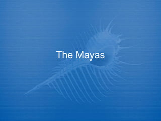 The Mayas

 
