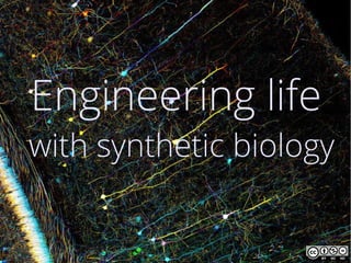 Engineering life
with synthetic biology
 