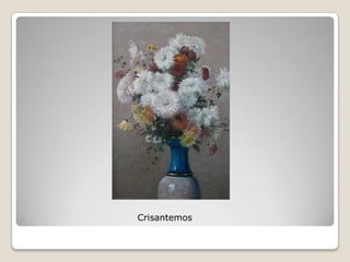 Crisantemos
 