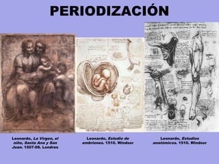 PERIODIZACIÓN
Leonardo, Estudios
anatómicos. 1510. Windsor
Leonardo, Estudio de
embriones. 1510. Windsor
Leonardo, La Virgen, el
niño, Santa Ana y San
Juan. 1507-08. Londres
 