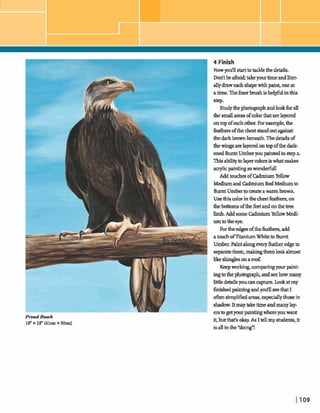 MudHawk
16"x 12' (41cmx 3hm)
4 Finish
Nowyodlstart to l a d ethedetails.
h dtbeahid; takeyourtimeandliter-
allydraweachshapewithpaint,oneat
atime.Thelinerbrushishelminthig
e-
StudythephmgraphandlookfwaJl
thesmall areasofcolorthatarelayered
ontop0fex.hother Form p l e ,the
f& ofthecheststandoutagainst
thedarkbrownbeneath.Thedetailsof
thewingsarelayeredontopdthedark-
enedBurntUmberyoupamtedinstep a.
This abilitytolayerdm iswhatmakes
q l i cpaintingsomW!
Addt o d m ofCadmiumYellow
Mediumand CadmiumRed Mediumto
Burnt U m k tomateawarmb m .
Usethiscolorinthedmtfeathers, on
thebottomsofthefeetandonthetree
limb.Add some CadmiumYellowMedi-
um totheeye.
Fortheedges ofthe feathem,add
atouchofEtaniumWhiteto Burnt
Umber.Paintalongevery kther edgeto
Is q m t e t h e r n , ~ t h e m ~ ~
Z i k e ~ s m a w o f :
Keepwwhg, C o m ~ y o u r p a i n t -
ingtothephotograph,andseehowmany
littledetailsyoucan capture.lookatmy
finishedpaintingandyodlseethat I
ofknsimplifiedareas,espeaallythosein
shadow.Itmaytaketimeandmanylay-
erstogetyourpaintingwhereyouwant
it,butthat's okay.As Itellmy students, it
isallinthe #-!
 