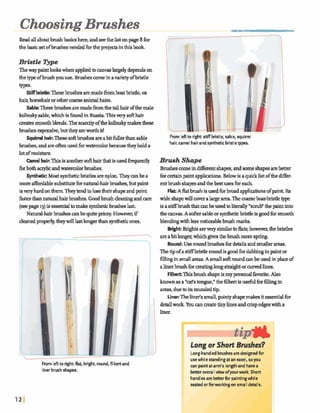 ChoosingBrushes
Readall aboutbrushbasicshere,andseethelistonpag~8fm
thebasicsetofbrushesneededfbrtheprojectsinthisbook
BrZstk e p e
Thewaypaintl& when a@ toeaflyaglargdydependson
thetypeofbrushyouuse. Brushescomeinavarietyofbristle
types.
Stiffbri9tle:Thesebrushesaremadeh m boarbristle,ox
hait;horsehairor0 t hcoarseanimalhairs.
!We: Theseh h e saremadefromtheIAhairofthemale
Minskysable,whichis fbundinRussia. Thisverysofthair
m a t e s srnwthblends.Themrcityofthekohkymakesthese
brushesexpensive,buttheyareworthit!
Squid hair: Thesesoftb r u s h areabitfullerthansable
brushes,andareoftemused fbrwatmcolor k wtheyholda
lotofmoisture.
Camelhair:Thisisanothersofthairthatisusedm t l y
forbothaqlicandwa&r brushes.
SyntheticMostsyntheticbrisk arenylon.Theycanbea
morea&dible substitutefarmM-& brushes,butpaint
isveryhardon&em. Theytendtolosetheirshapeandpoint
fasterthan naturalhairbrushes. Goodbrushcleaninganda r e
(seepage 13)isessentialtomakesyntheticbrushes1-
Natura-hairbrushescanbequite-Howwer,if
cleanedproperly,theywilllastlongerthans y n w ones,
From leftto right:stiff bristle,sable, squirrel
hair, camel hairand syntheticbristletypes.
Brwh Shape
Brushescomeindifferentshaps,andmmeshapesarebetter
forceaainpaintapphcations. Belowisaquicklistofthediffer-
entbrushs h a pandthebeatuses fbreach.
Flat.Aflatbrushis usedforbroadapphtiions ofpaint Its
wide shapewill m ralargearea.Thecoarseh - b r i d etype
isaMbrushthatanbeusedtoliterally"smulfthepaintinto
theeaflm.A sofkrsableorsyntheticbristleis goodforsmooth
blendmgwithlessnohablebrushmafks.
Bight.Bnghtsarem ysimilartoflats;however,thebristleg
areabitlonger,whichgivesthebrushmorespring.
Round:Use roundbrushfordetdsandsmallerareas.
Thetipofastiffbristleroundis goodfbrdab@ inpaintor
filling insrnallareas.A smallsoft roundanbeusedinplaceof
alinerbrushformtinglongstraightorcurvedZincs.
Filbert:Thigbrushshapeismy personalfavorite.Also
lmownasa " d s imgu; thefilbertis usefulforfillrngin
areas, dueInitsroundedtip.
, Liner:Theliner'ssmall, pointyshapem a hitegsentialfor
detailwork Youancreatetinylinesandcrispedgeswitha
-
From leftto right flat, bright, round,filbertand
liner brushshap.
Long or Short Brushes?
Long-handledbrushesarc designedb r
usewhile standingat an easel,sopu
can paintat arm's lengthand h ma
k r mralI vimofyourwork. Short
handlesarc k r h r paintingwhile
seatad or forworkingon small daails.
 