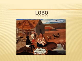 LOBO
 
