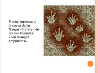 Manos impresas en
la cueva de las
Gargas (Francia), de
las mal llamadas
«con falanges
amputadas»
 