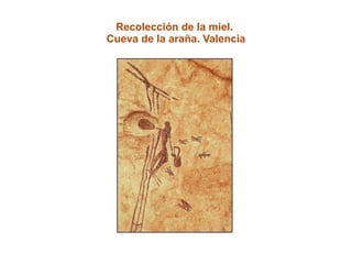 Recolección de la miel.  Cueva de la araña. Valencia 