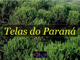 Telas do Paraná 