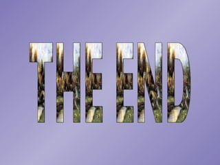 THE END 