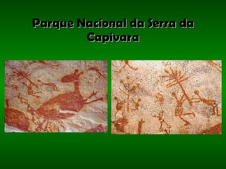 Parque Nacional da Serra da Capivara 