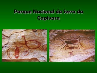 Parque Nacional da Serra da Capivara 