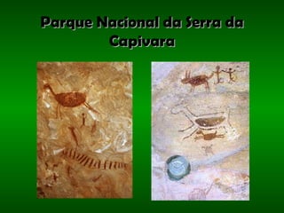 Parque Nacional da Serra da Capivara 