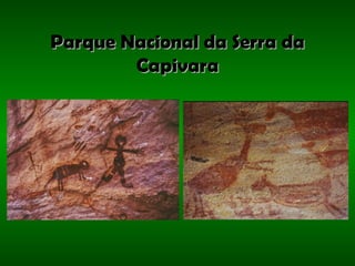 Parque Nacional da Serra da Capivara 