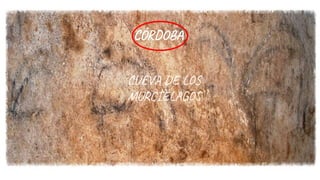 CÓR O
CU E L
MU ÉLA
 