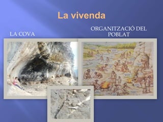 La vivenda
LA COVA
ORGANITZACIÓ DEL
POBLAT
 