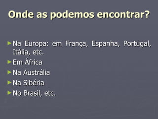 Onde as podemos encontrar? Na Europa: em França, Espanha, Portugal, Itália, etc. Em África Na Austrália Na Sibéria No Brasil, etc. 