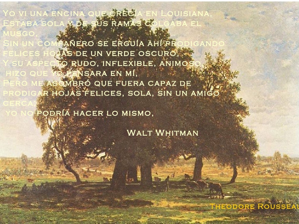 Yo vi una encina que crecía en Louisiana,Estaba sola y de sus ramas colgaba elmusgo,Sin un compañero se erguía ahí prodiga...