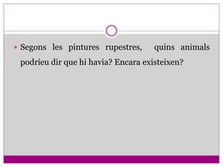  Segons les pintures rupestres,     quins animals
 podríeu dir que hi havia? Encara existeixen?
 