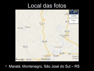 Local das fotos
• Maratá, Montenegro, São José do Sul – RS
 