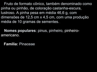 Fruto de formato cônico, também denominado como
pinha ou pinhão, de coloração castanha-escura,
lustroso. A pinha pesa em média 46,6 g, com
dimensões de 12,5 cm x 4,5 cm, com uma produção
média de 10 gramas de sementes.
Nomes populares: pinus, pinheiro, pinheiro-
americano.
Família: Pinaceae
 