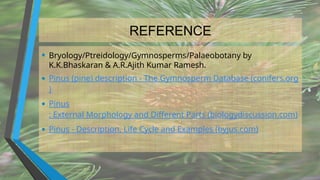 REFERENCE
• Bryology/Ptreidology/Gymnosperms/Palaeobotany by
K.K.Bhaskaran & A.R.Ajith Kumar Ramesh.
• Pinus (pine) description - The Gymnosperm Database (conifers.org
)
• Pinus
: External Morphology and Different Parts (biologydiscussion.com)
• Pinus - Description, Life Cycle and Examples (byjus.com)
 