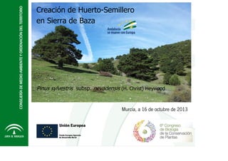 Creación de Huerto-Semillero
en Sierra de Baza

Haga clic sylvestris subsp. nevadensis (H. patrón Heywood
Pinus para modificar el estilo de subtítulo del Christ)

Murcia, a 16 de octubre de 2013

 