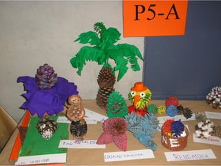Pinyes 2011 12