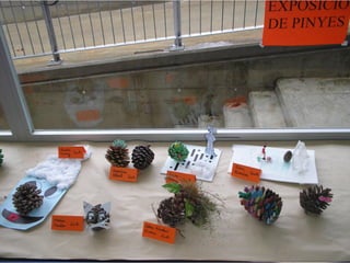 Pinyes 2011 12