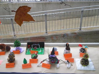 Pinyes 2011 12