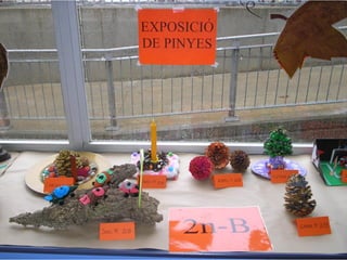 Pinyes 2011 12