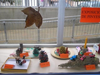 Pinyes 2011 12